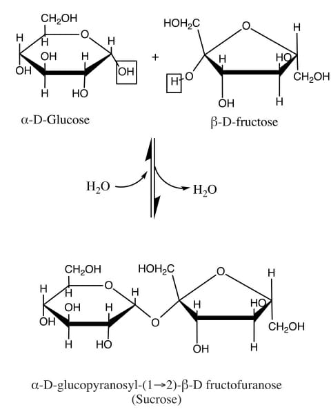 Sucrose condensation