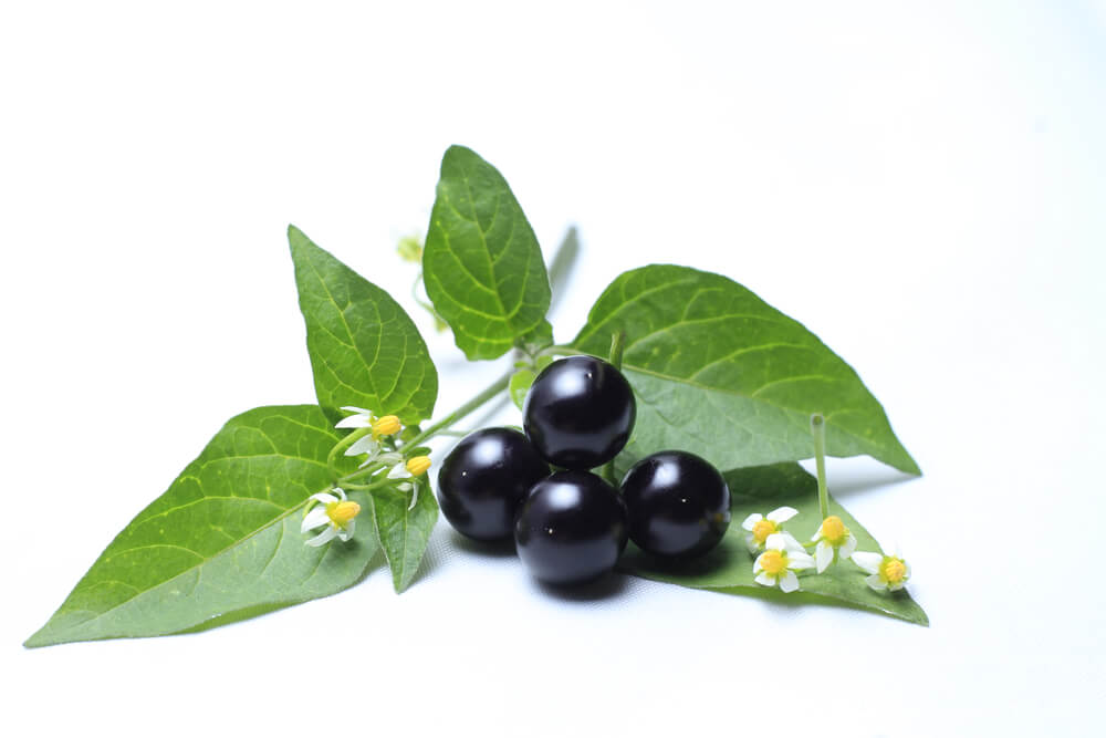 belladonna atropine heart drug tachycardia bradycardia emergency junctional rhythm