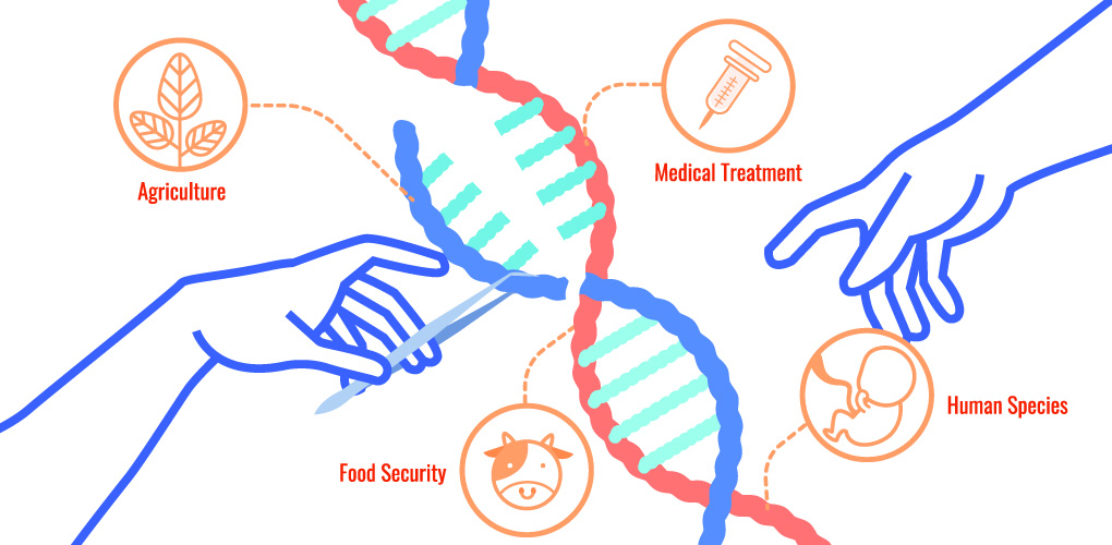CRISPR cas-9 restriction enzymes artificial genetic modulation