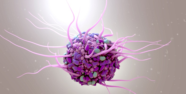 dendritic cell