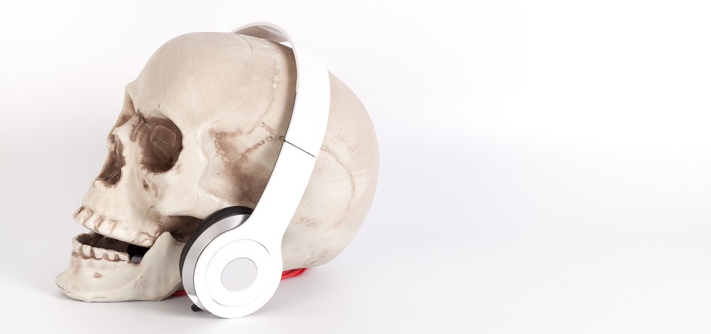lateral view side skull human earphones
