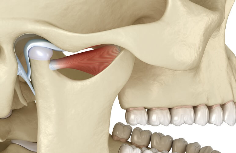 tmj temporomandibular joint mandible temporal bone