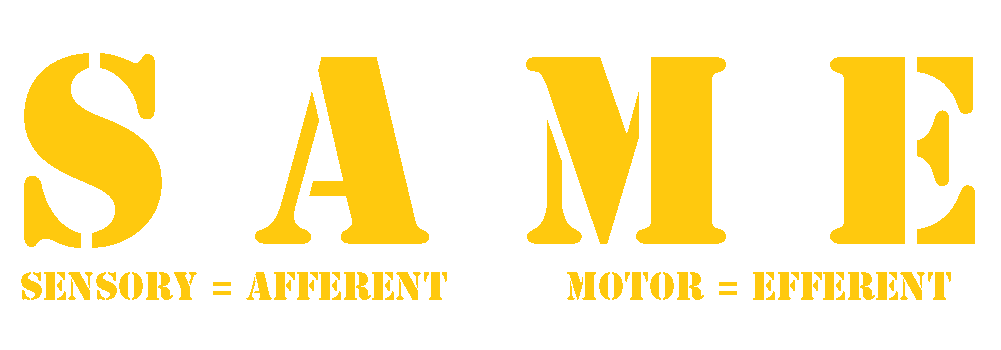 sensory afferent motor efferent SAME