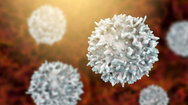 T cell immunity is a key part of the adaptive immune system